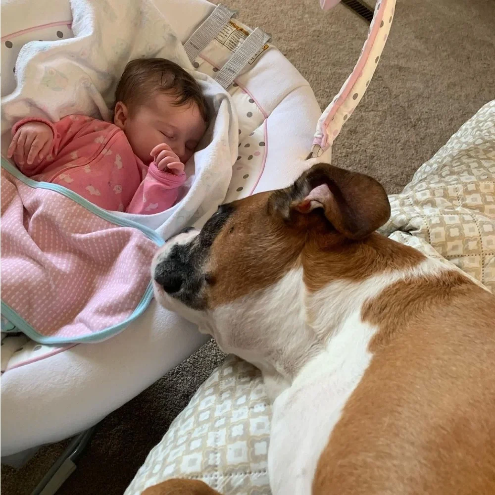 Apollo 🪽❤️‍🩹 - Picture 9 of 13